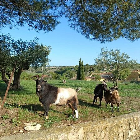 Casas Rurales La Laguna, Alpera Esterno foto