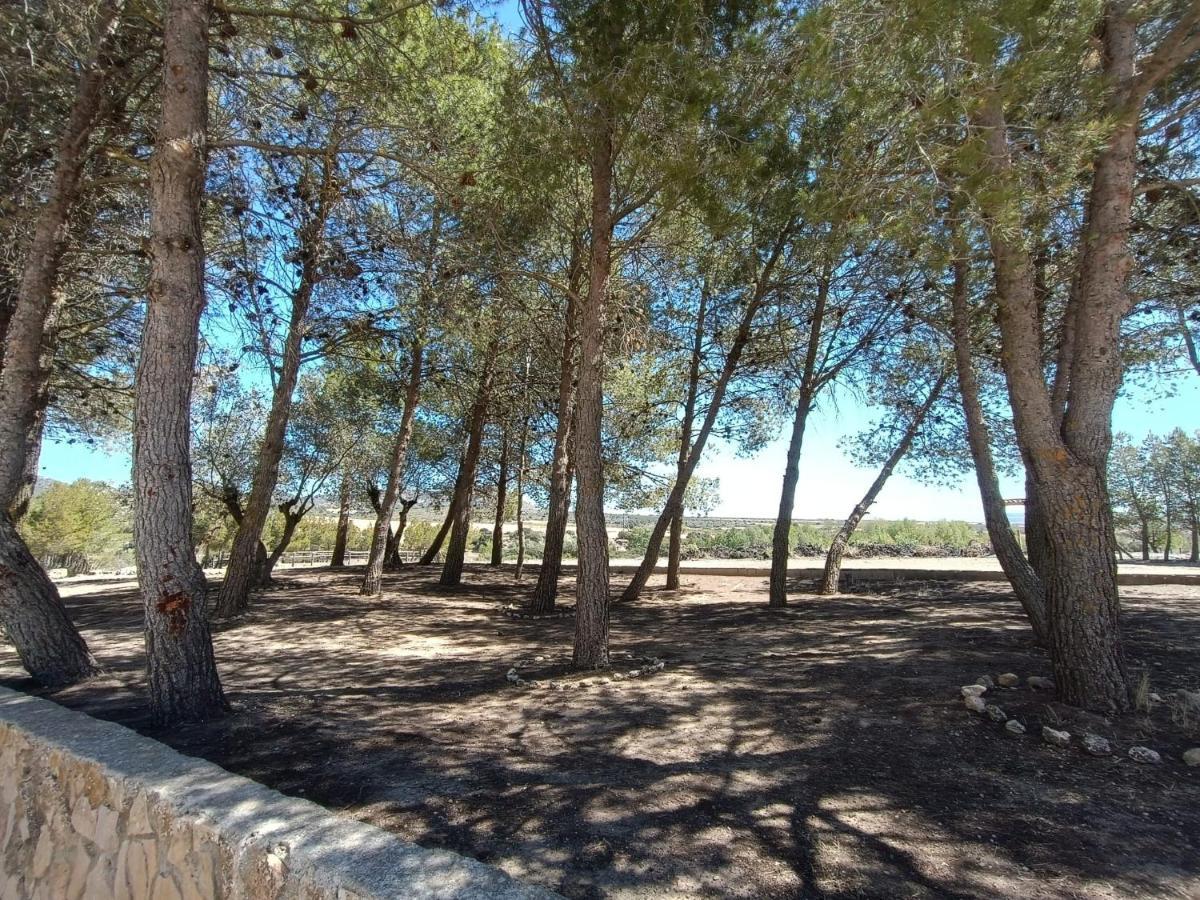 Casas Rurales La Laguna, Alpera Esterno foto
